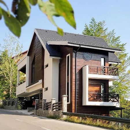 Casa Larisa Antonia Apartments Sinaia Exterior foto