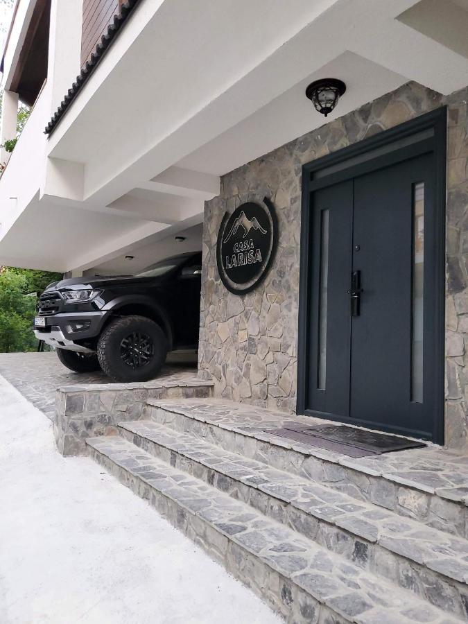 Casa Larisa Antonia Apartments Sinaia Exterior foto