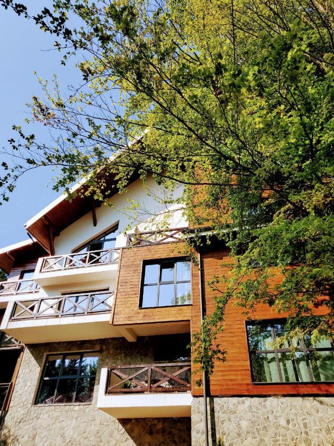 Casa Larisa Antonia Apartments Sinaia Exterior foto