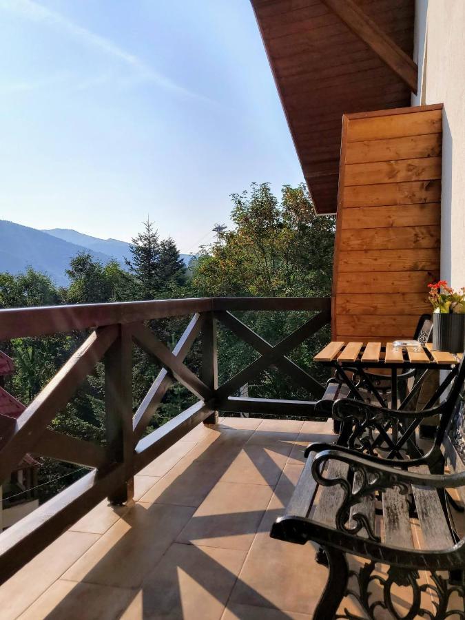 Casa Larisa Antonia Apartments Sinaia Exterior foto